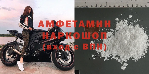 стаф Аркадак
