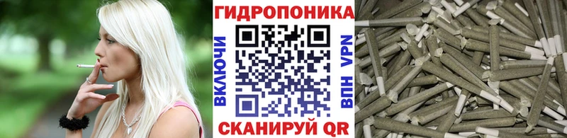 Конопля OG Kush  Чудово 